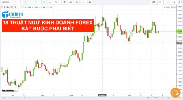 18 thuật ngữ kinh doanh Forex bắt buộc bạn phải biết