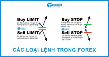 Các loại lệnh trong Forex: Ý nghĩa và cách sử dụng