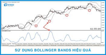 Cách sử dụng Bollinger Bands trong giao dịch Forex