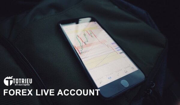 Thời điểm nào xác định tôi đã sẵn sàng giao dịch Forex trên một tài khoản thật (Live Trading)