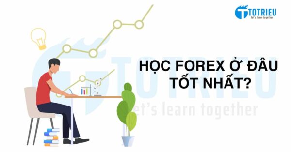 Học Forex ở đâu tốt nhất?