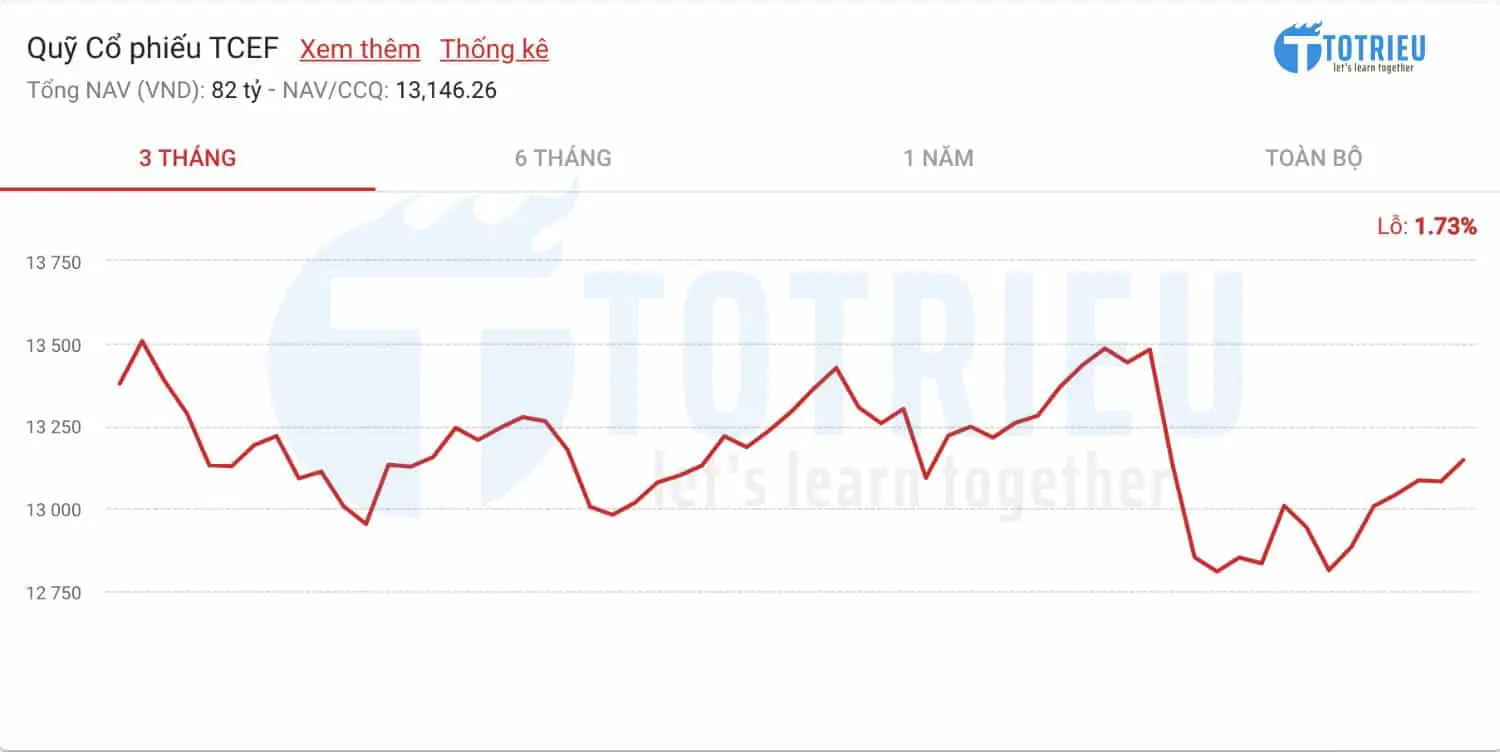 Quỹ cổ phiếu TCEF - Techcombank