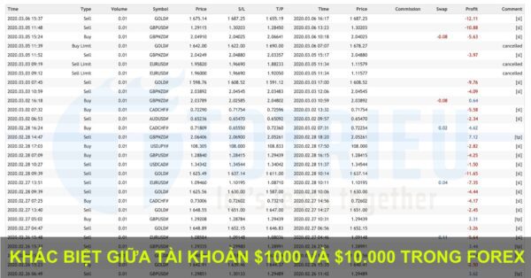 Khác biệt giữa Vốn $1000 và Vốn $10.000 trong giao dịch Forex