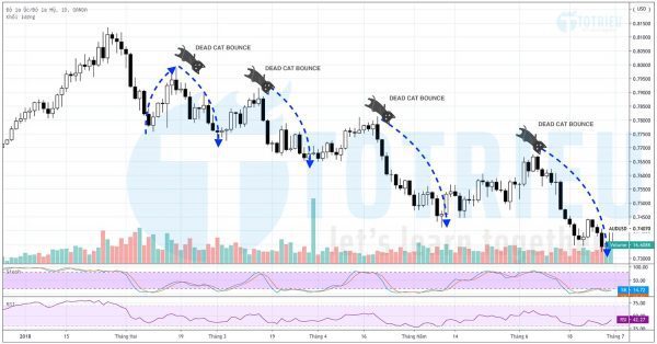 Dead Cat Bounce là gì?