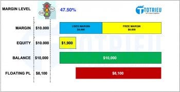 Margin Level khi Floating P/L âm và thua lỗ 80% tài khoản có khả năng bị Margin Call