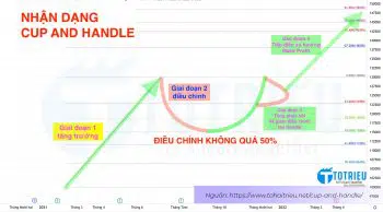 Cấu trúc Mô hình Cup and Handle (Cốc tay cầm) tiêu chuẩn