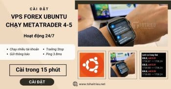 Cài VPS Forex chạy Ubuntu Desktop LTS cài MetaTrader 5, MT4