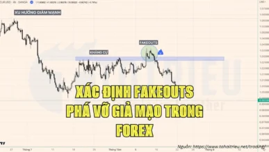 Cách phát hiện Fakeouts và Giao dịch với Fakeouts hiệu quả