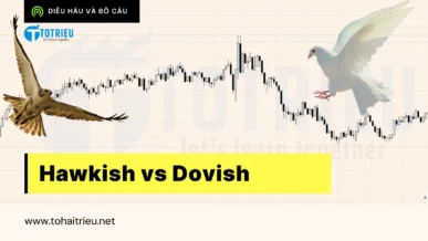 Hawkish vs Dovish: Sự khác biệt giữa các chính sách tiền tệ