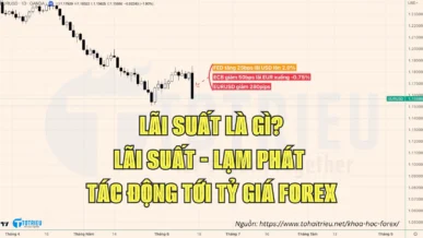 Lãi suất là gì? Tác động tới tỷ giá Forex thế nào?