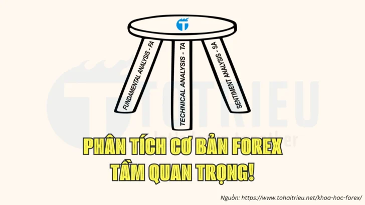 Phân tích cơ bản Forex là gì? Tầm quan trọng của các dữ liệu kinh tế trong Forex