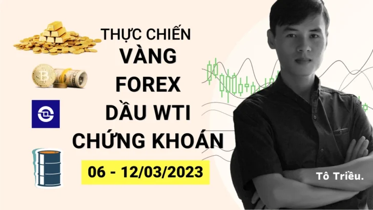 Giá Vàng tuần này - Xu hướng Forex - Giá dầu - Chứng khoán cơ sở tuần 10-2023 (06 - 12/03)