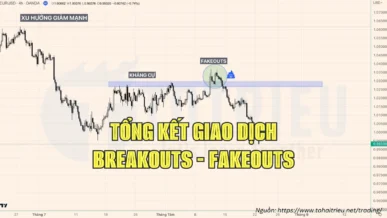 Tổng kết giao dịch Breakouts và Fakeouts