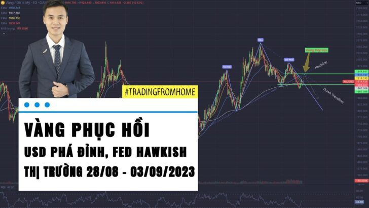 Gold phục hồi - USD phá đỉnh - Thị trường tuần 35 - 2023 (28/08 - 03/09)