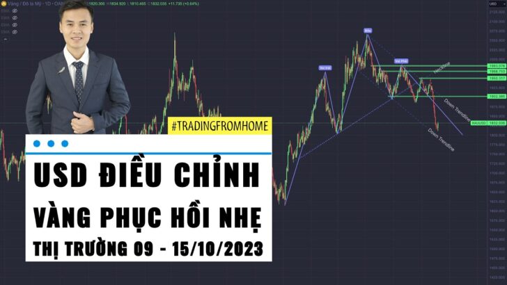 USD điều chỉnh - Gold tăng nhẹ sau NFP - Thị trường tuần 41 - 2023 (09 - 15/10)