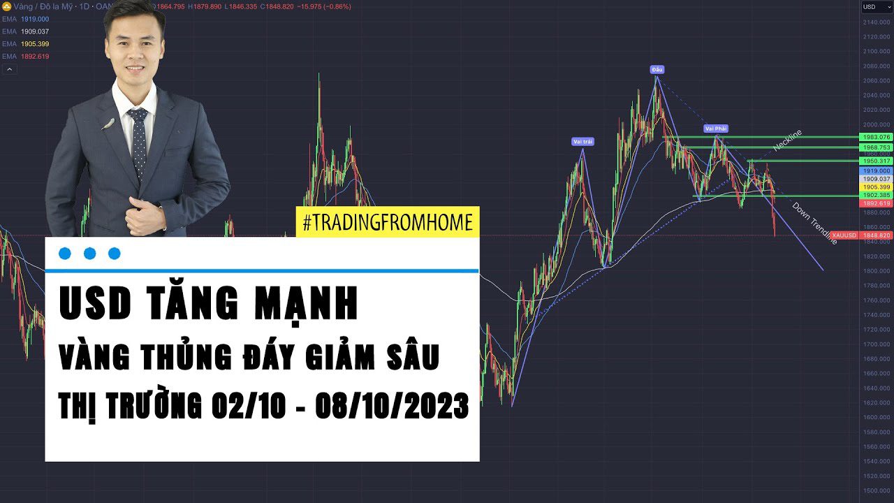 USD tăng mạnh - Gold giảm sâu trước NFP - Thị trường tuần 40 - 2023 (02 - 08/10)