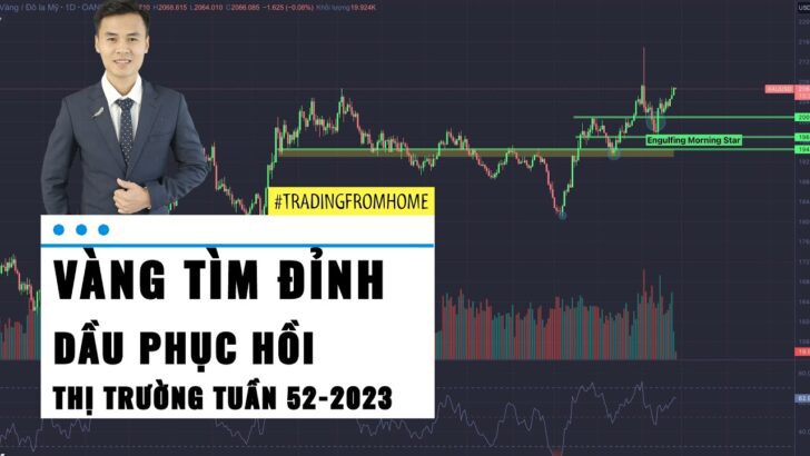 GOLD TÌM ĐỈNH - OIL phục hồi - Thị trường tuần 52-2023