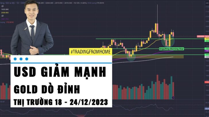 USD giảm sâu - Gold dò đỉnh - Dầu phục hồi - Thị trường tuần 51-2023 (18 - 24/12)