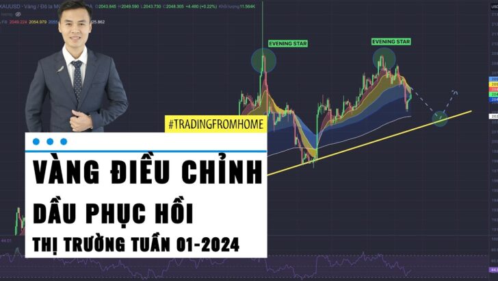 GOLD ĐIỀU CHỈNH - OIL phục hồi - Thị trường tuần 01-2024 (01 - 07/01)