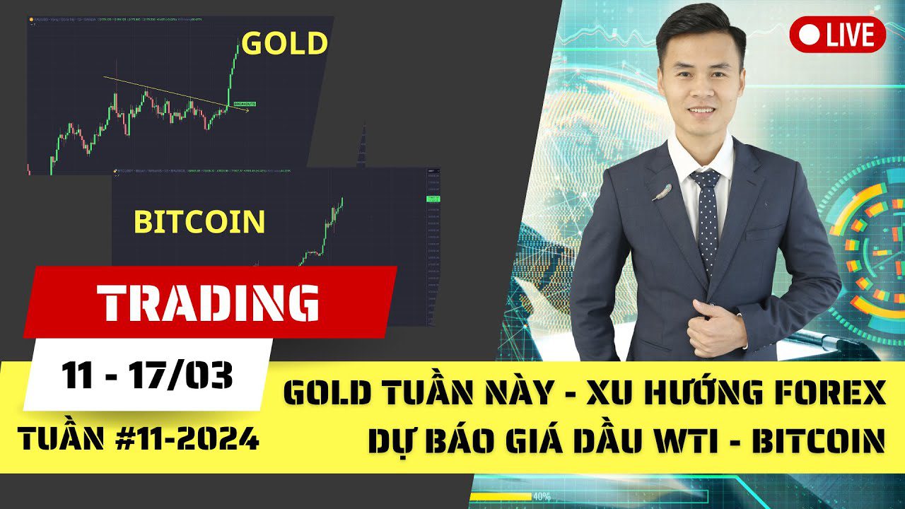 Gold tuần này - Xu hướng Forex - Dự báo Giá dầu WTI - Phân tích Bitcoin tuần 11-2024 (11 - 17/03)