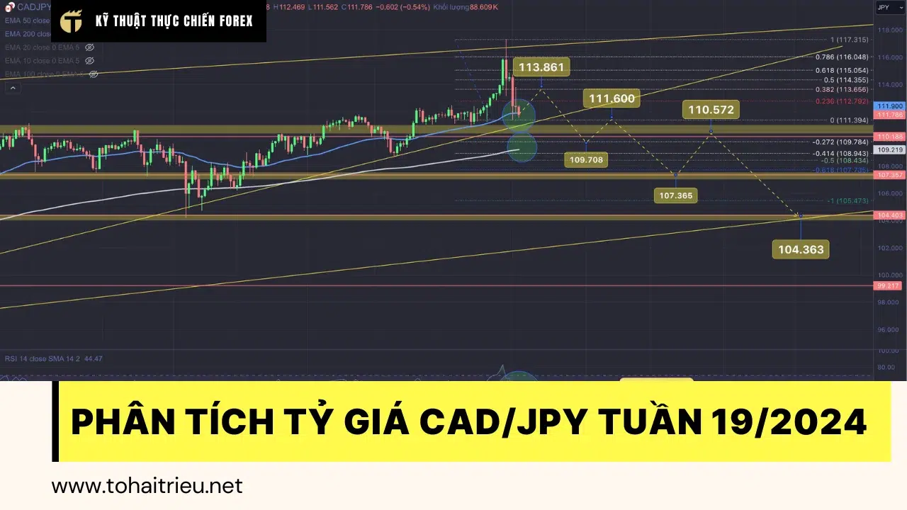 Phân tích xu hướng tỷ giá CAD/JPY tuần 19-2024: Big Wedge!?