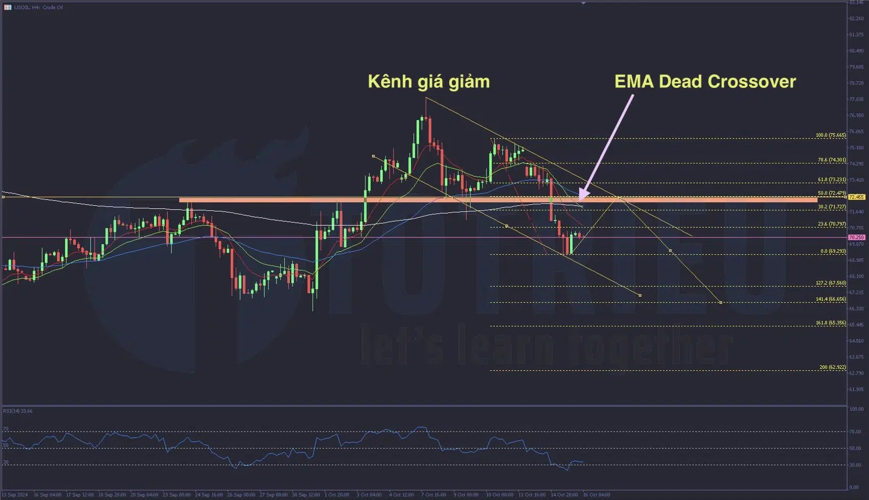 Phân tích kỹ thuật USOIL tuần 42/2024: Kênh giá giảm